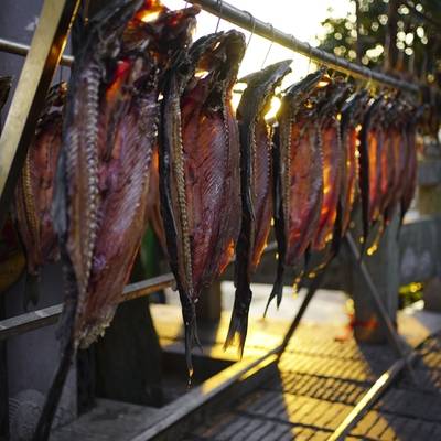 黑白模特