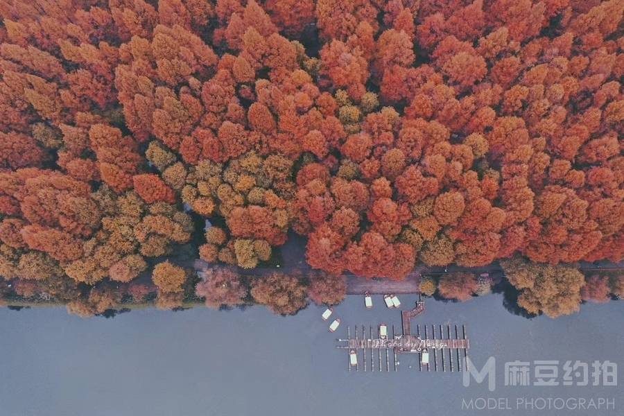 胶片模特