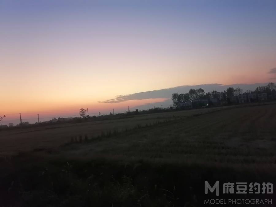 胶片模特