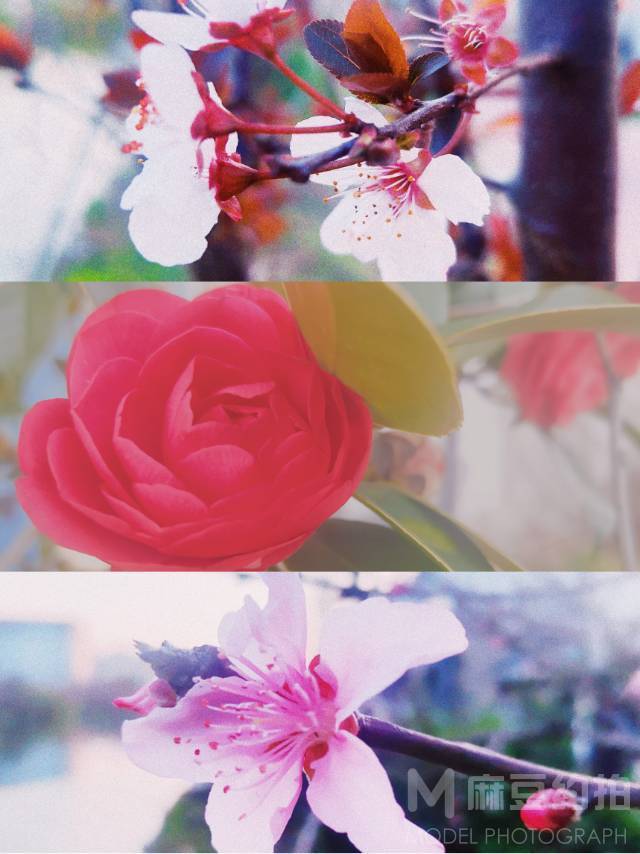 日系模特