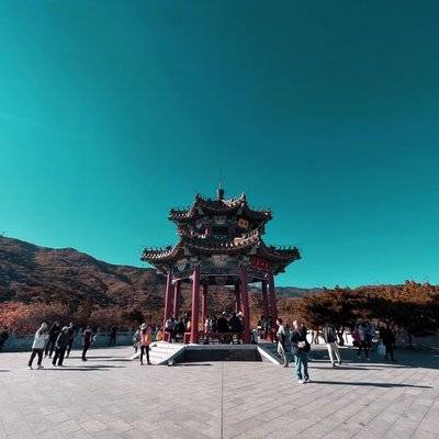 胶片模特