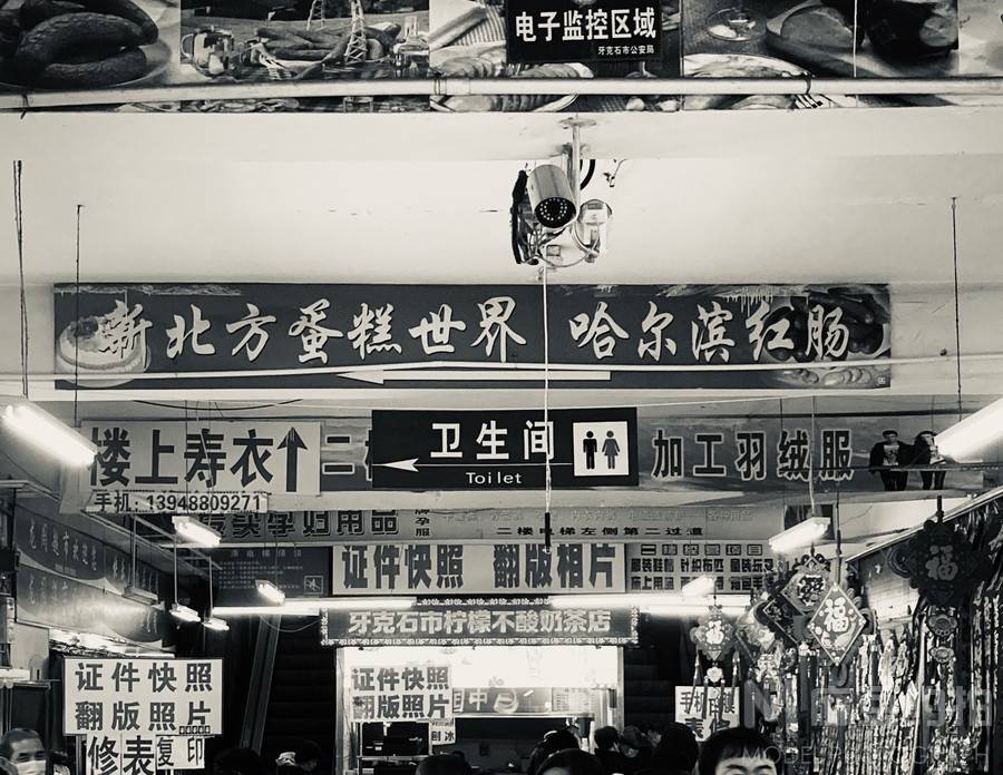 黑白模特