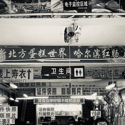 黑白模特