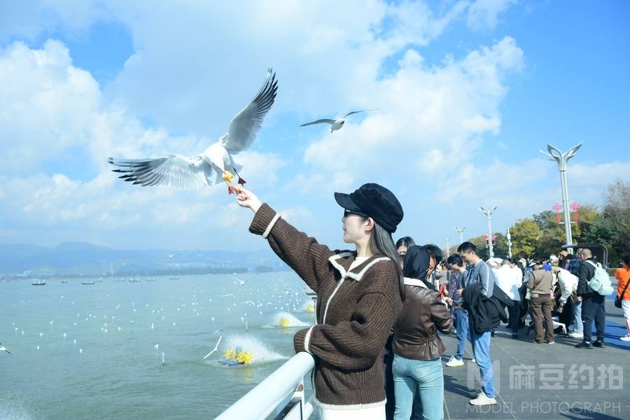 情侣模特