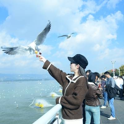 情侣模特