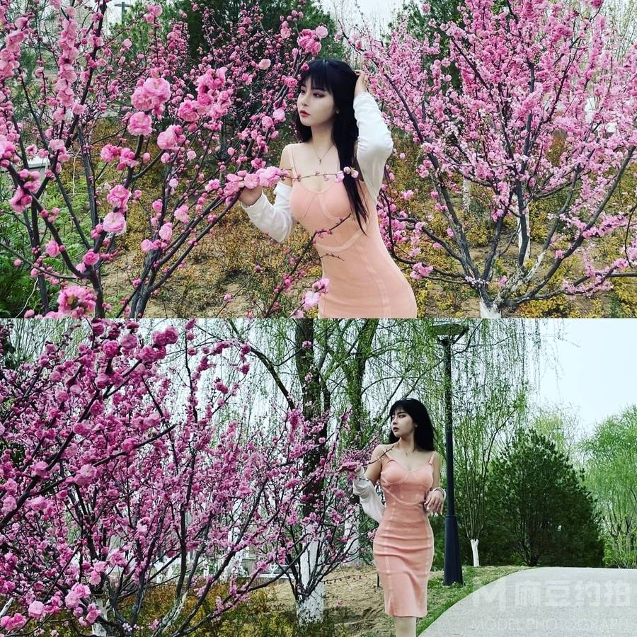 清新模特