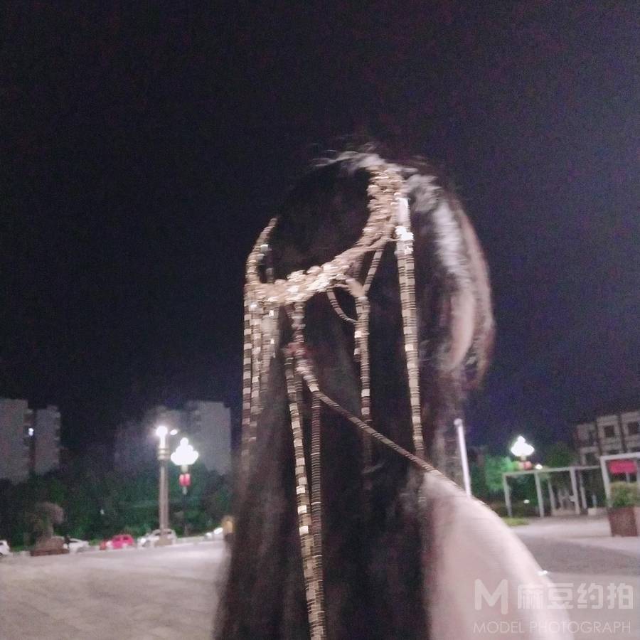 商务模特