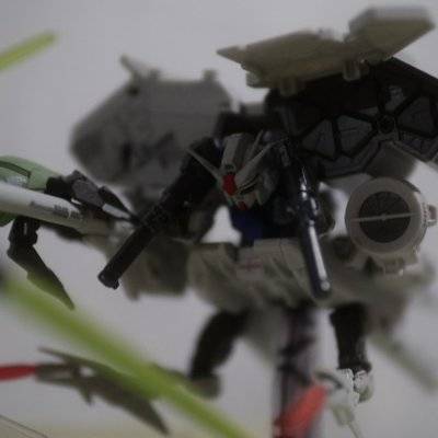 黑白模特