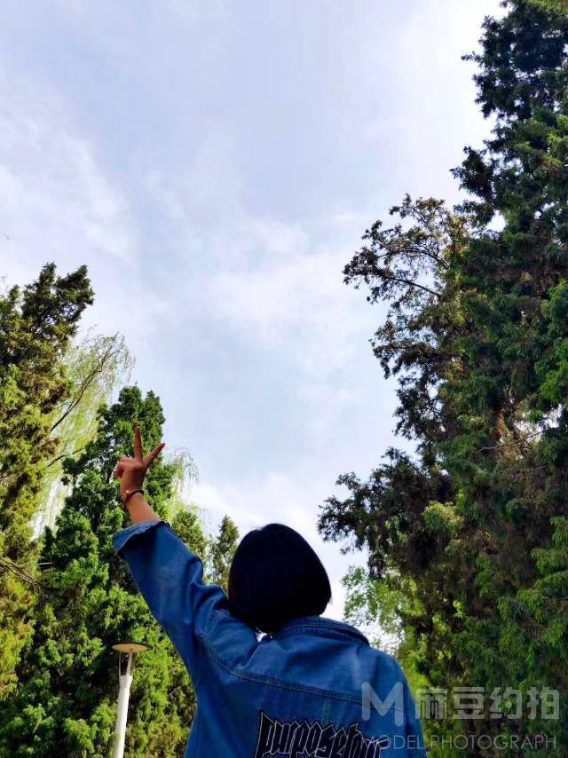 情侣模特