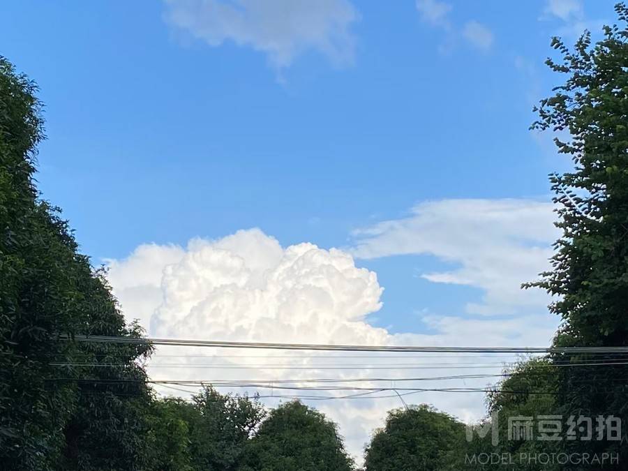 纪实模特