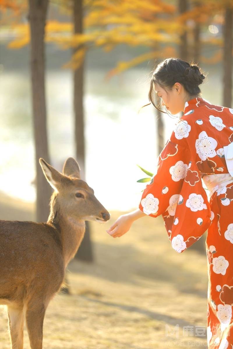 和服模特