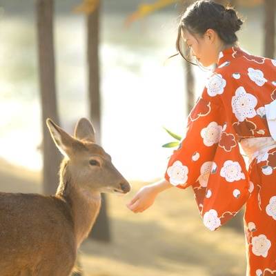 和服模特