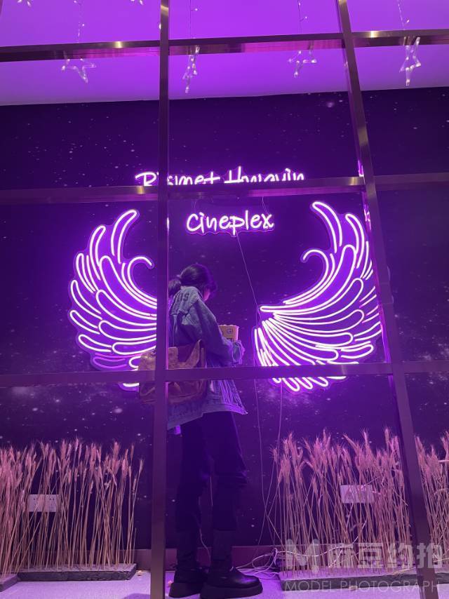 暗黑模特