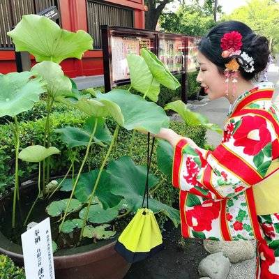 淘宝模特