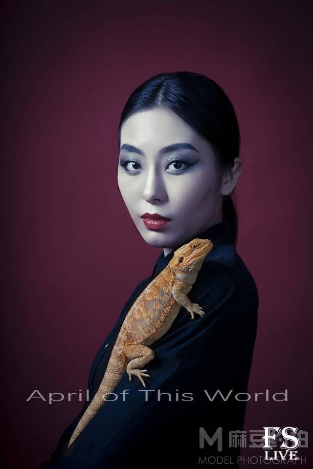 商务模特
