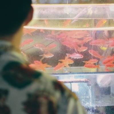 复古模特