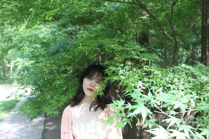 清新模特