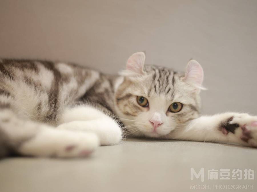 黑白模特