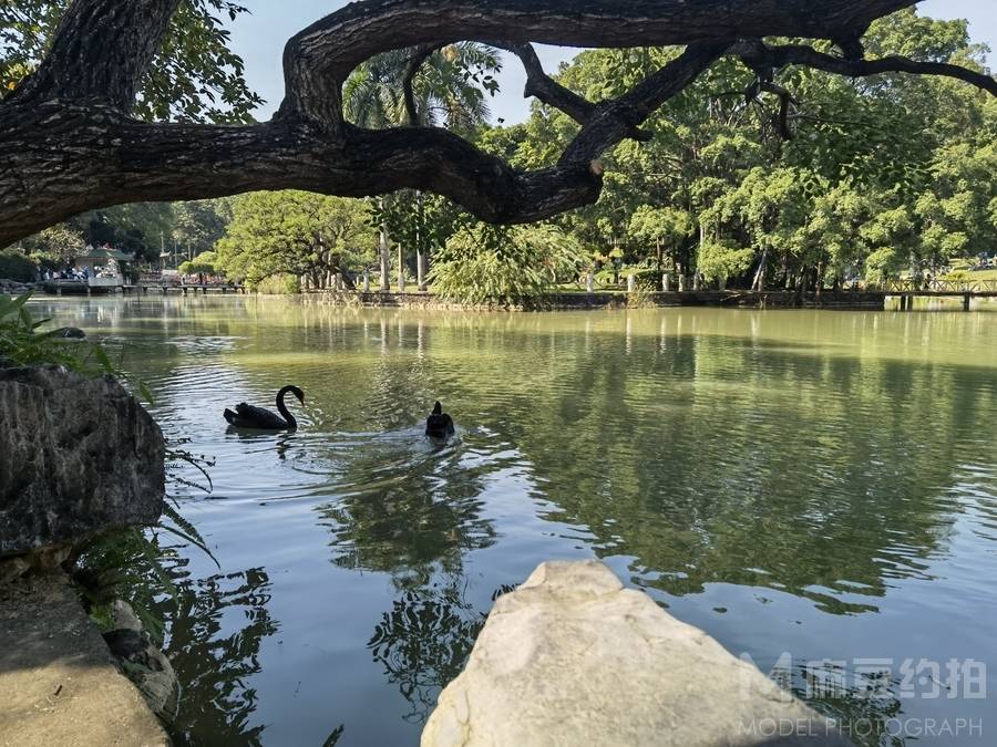 纪实模特