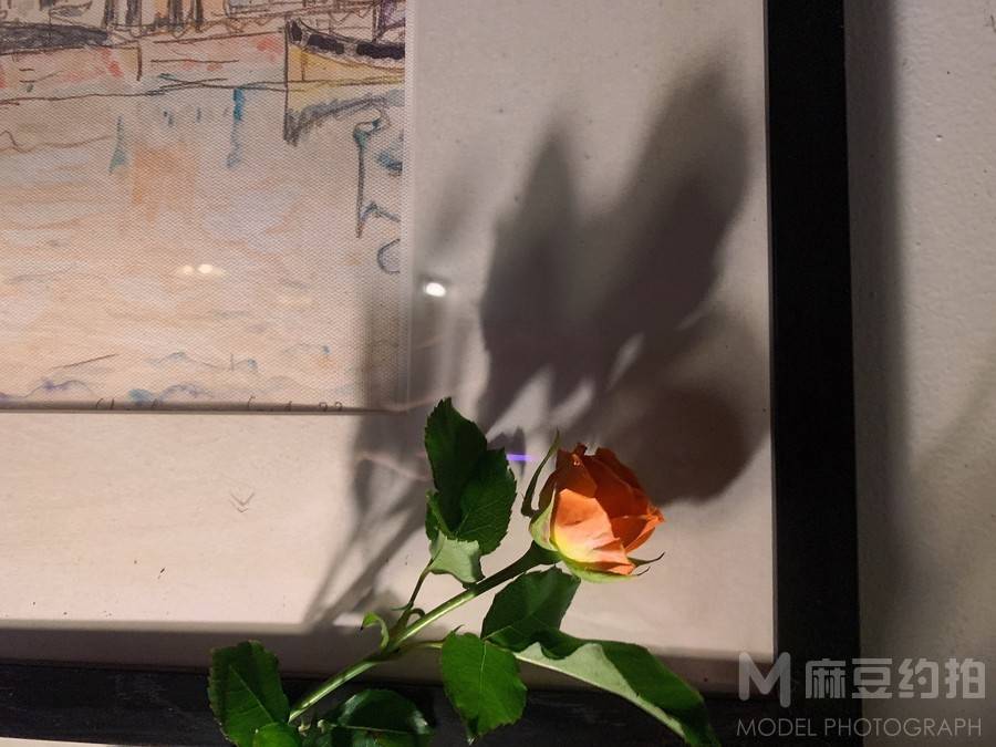 复古模特
