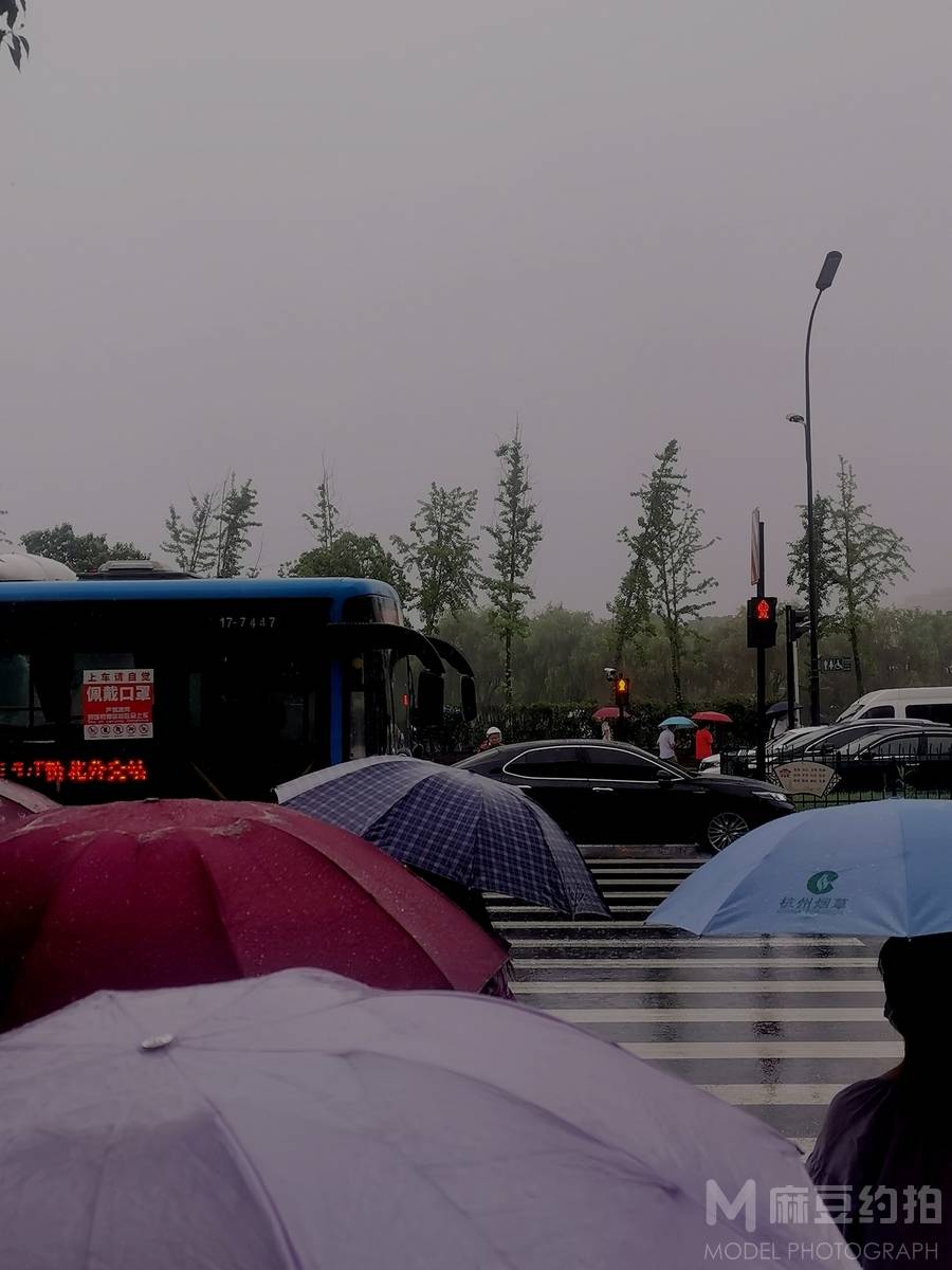 胶片模特
