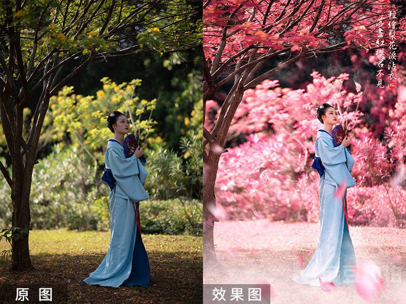 和服模特