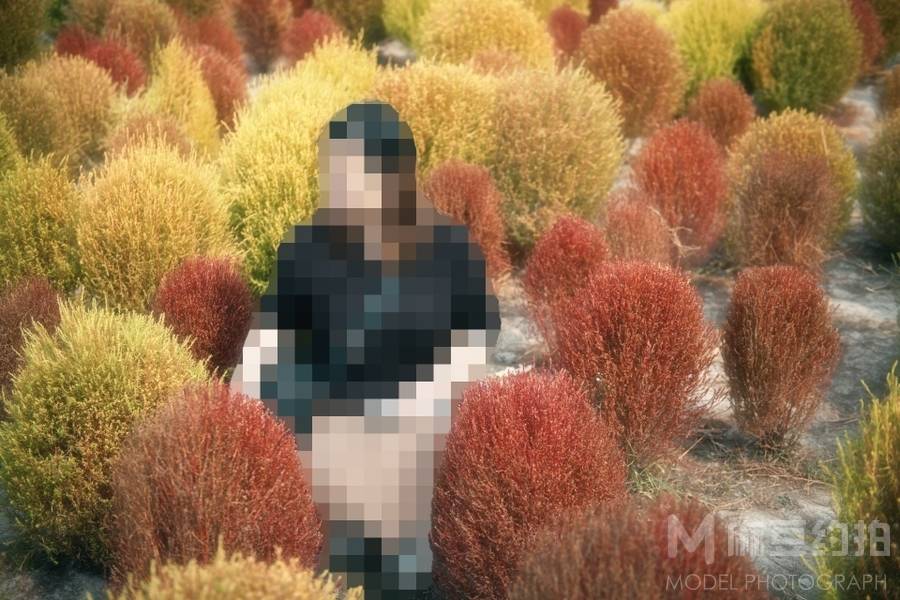 情绪模特