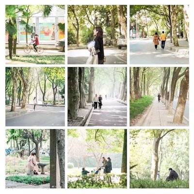 校园模特