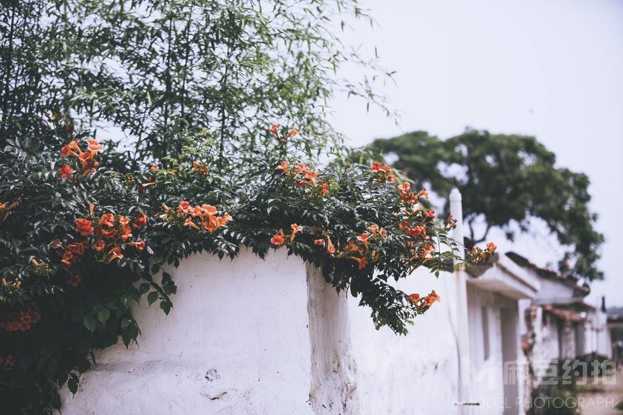 纪实模特