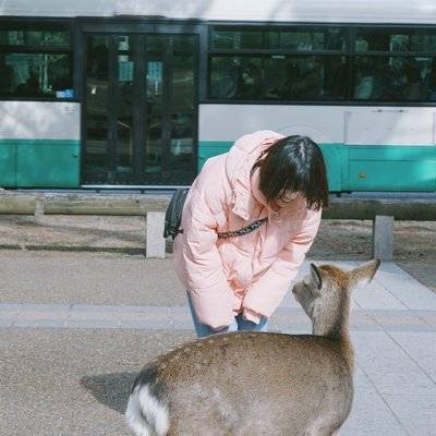 日系模特
