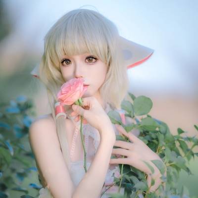 清新模特