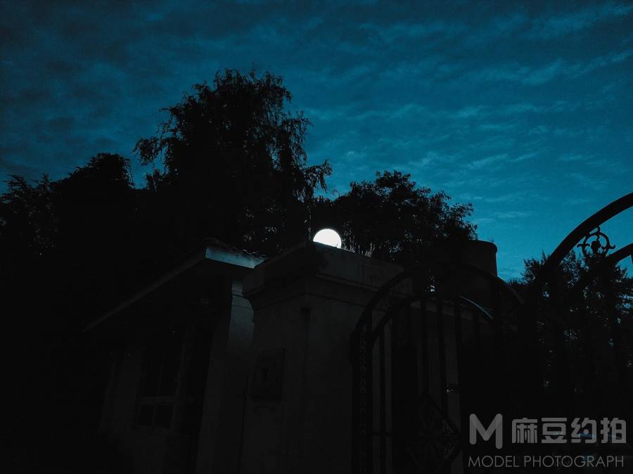 胶片模特