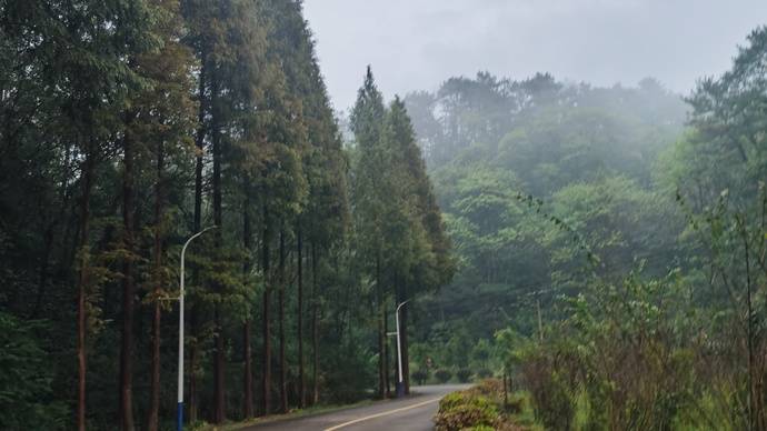 大山冲森林公园