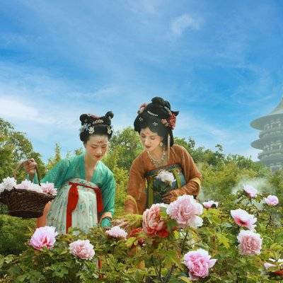 情侣模特