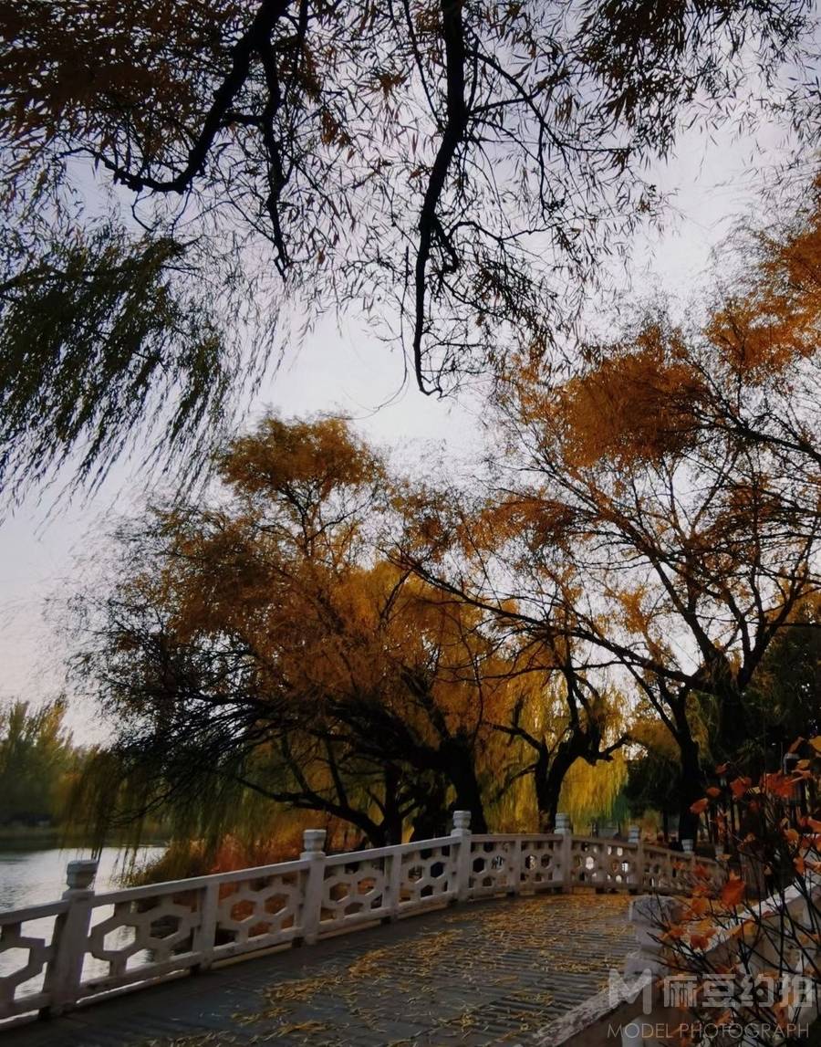 纪实模特