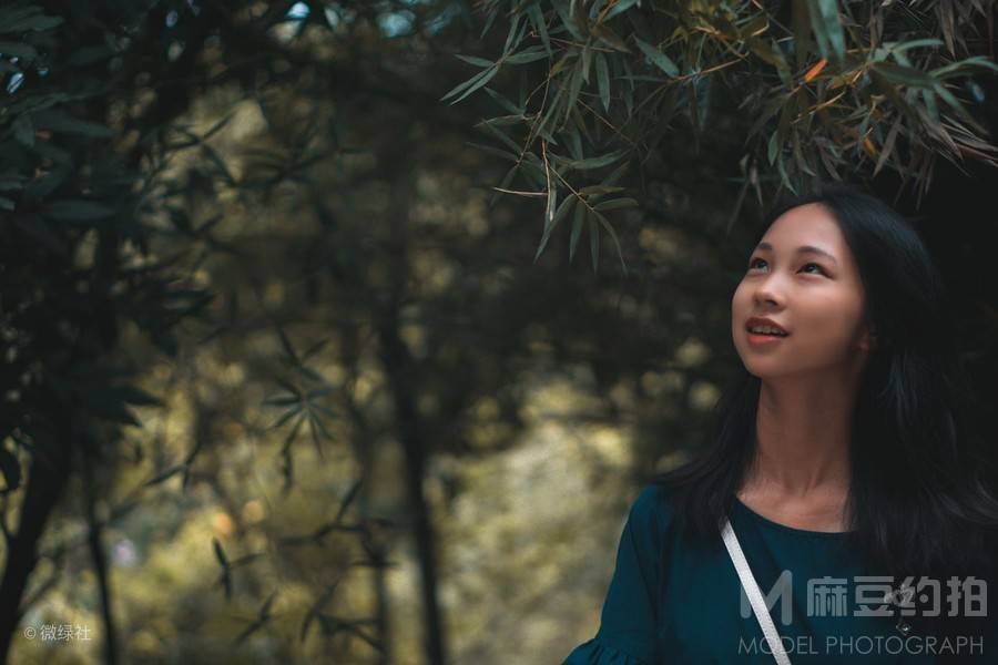 情绪模特