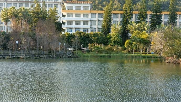 大学里面的草地湖边等