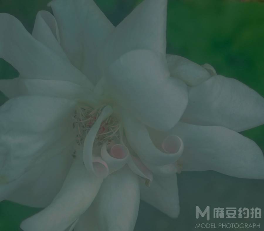 纪实模特