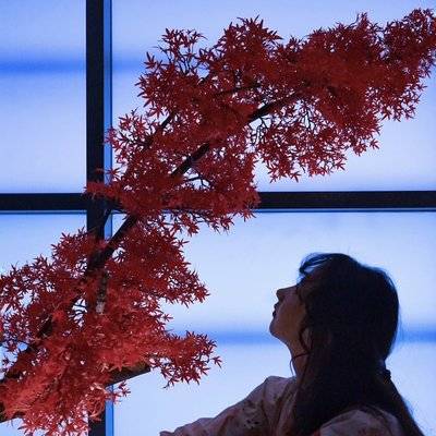 和服模特