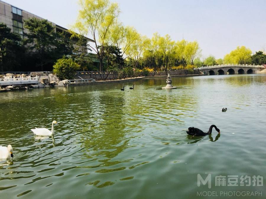 纪实模特