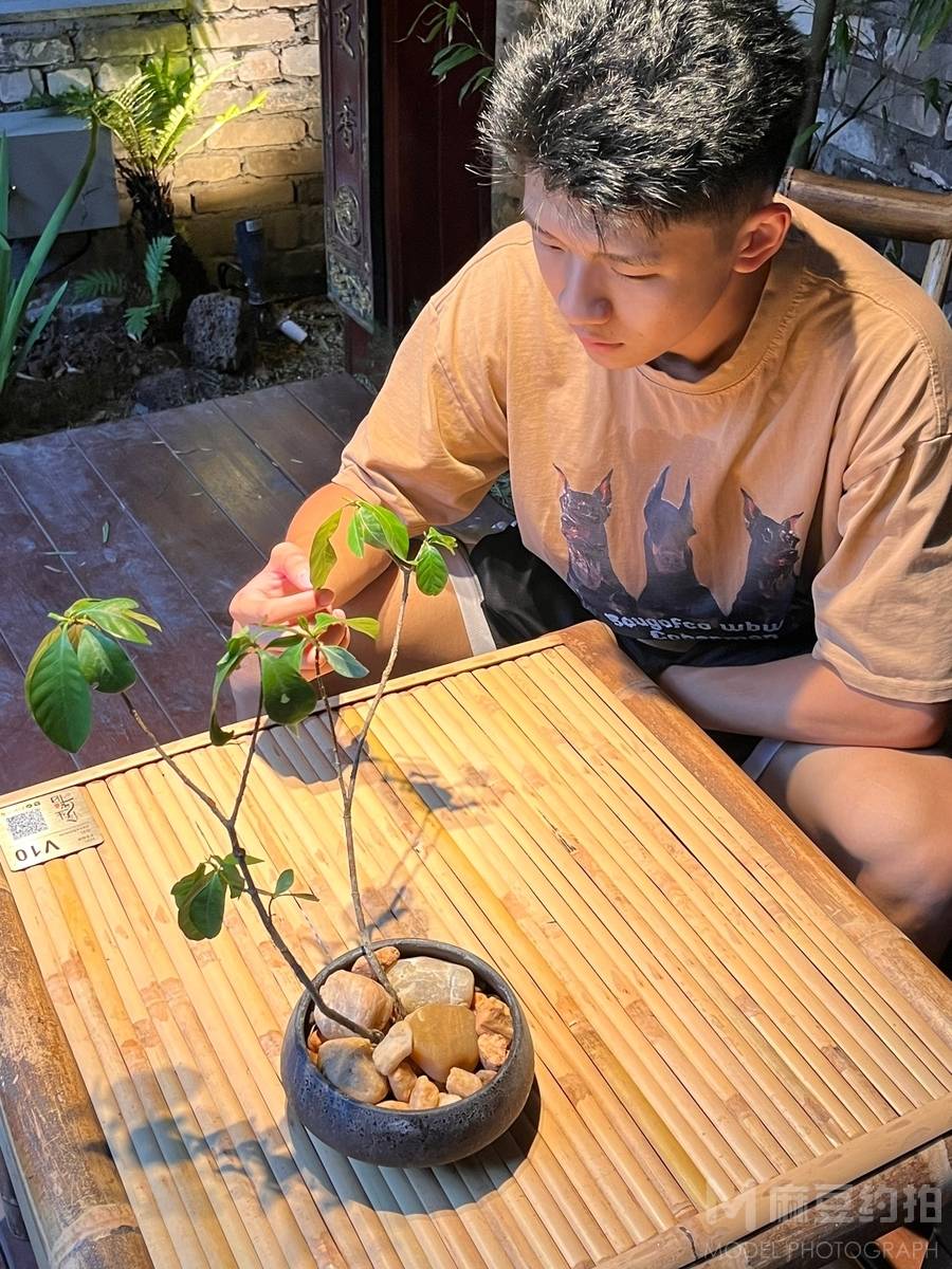 清新模特