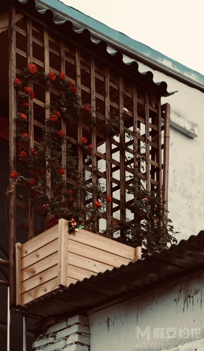 纪实模特