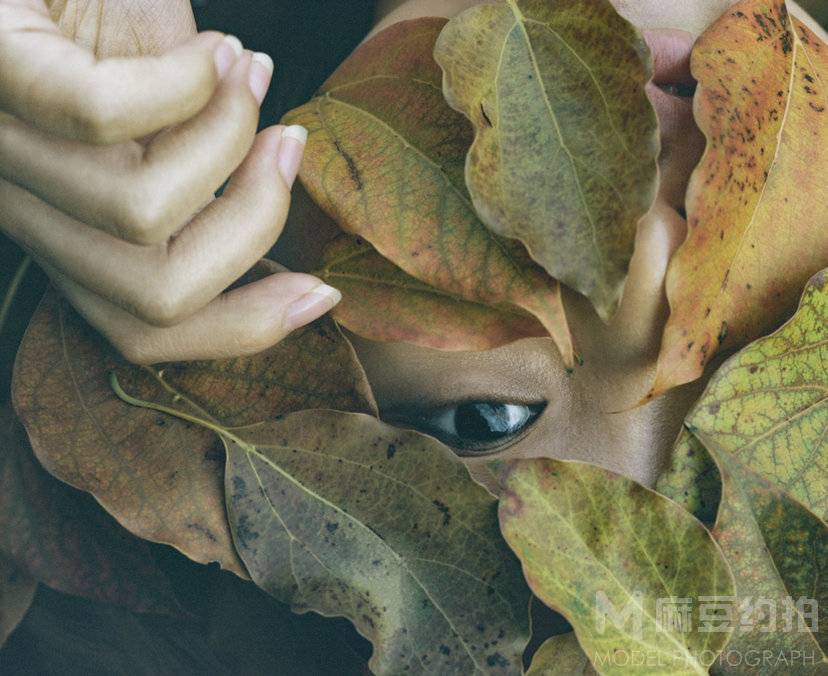 胶片模特