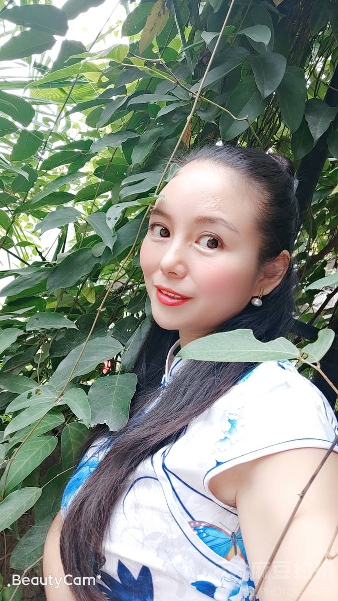旗袍模特