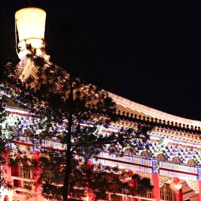 夜景模特