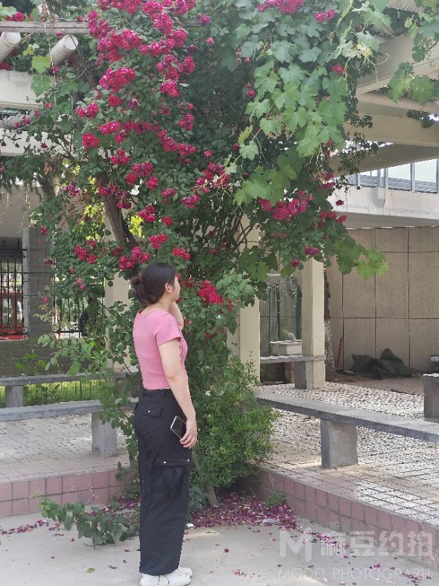 校园模特