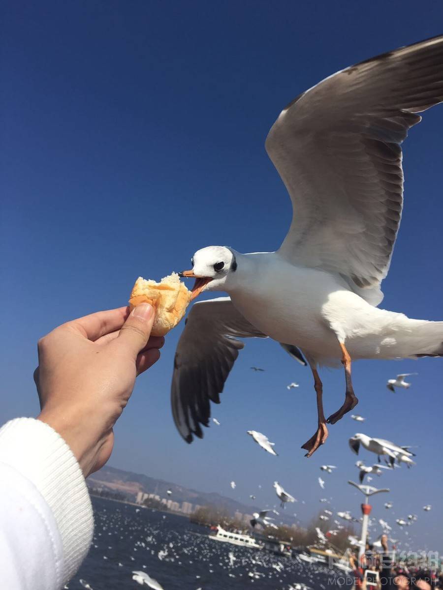 私房模特