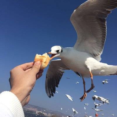 私房模特