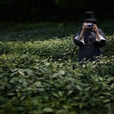 旗袍模特