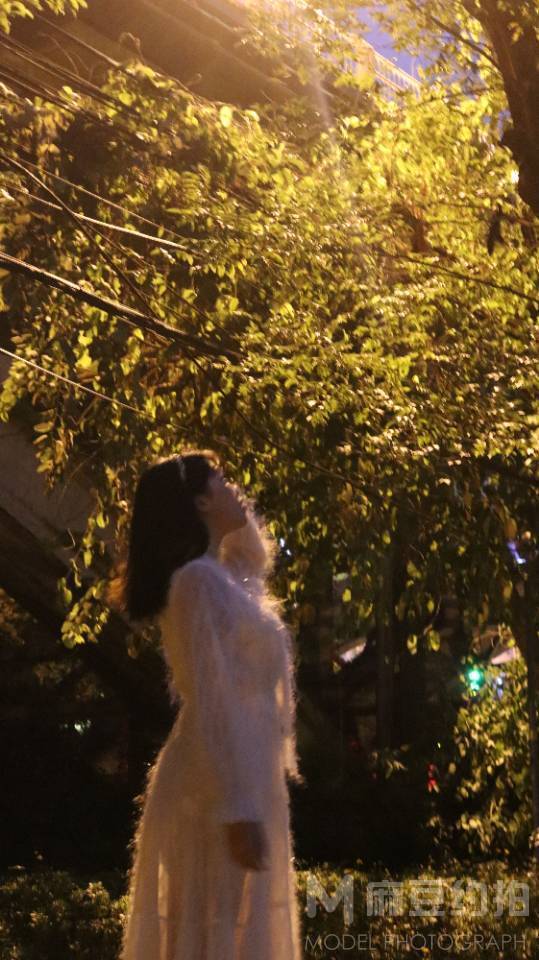 夜景模特